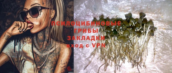 дурь Алексин
