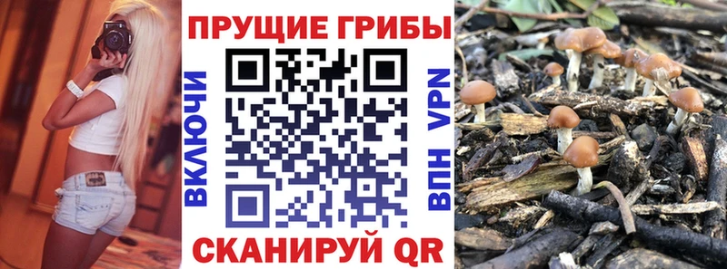 Галлюциногенные грибы мицелий  Асбест 